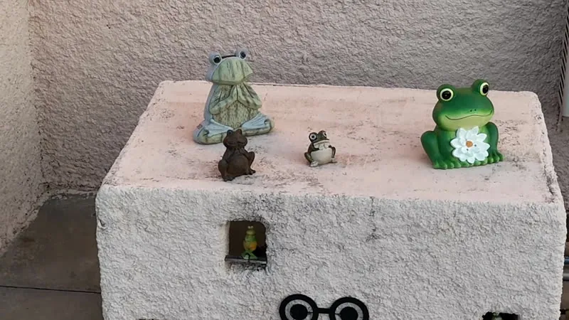 Les petites grenouilles du patio, gardiennes du livre d’or