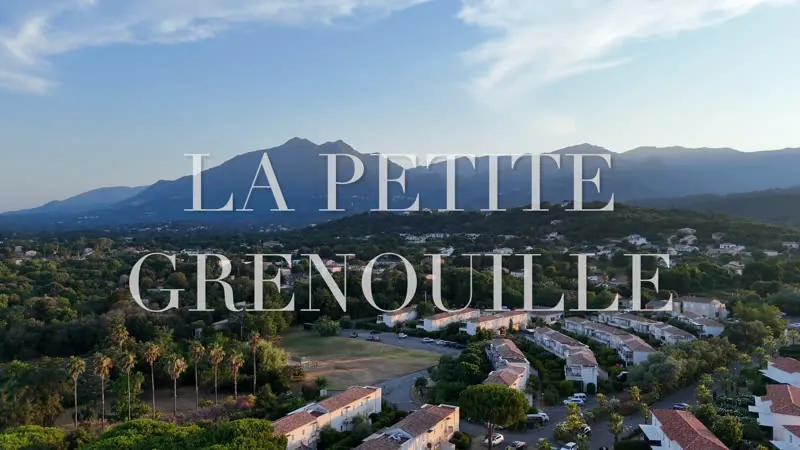 « La Petite Grenouille » — les palmiers vus du ciel