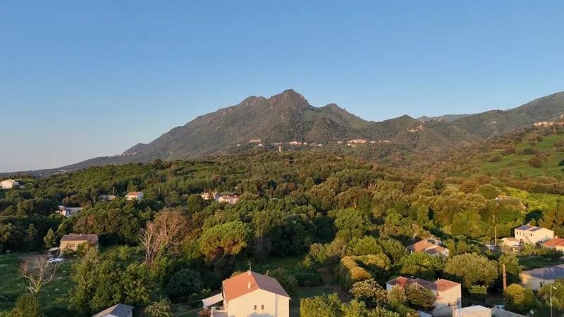 Les collines de la Castagniccia dans la lumière dorée